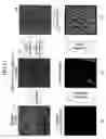 Fig. 12 - SKIN STATE ANALYZING METHOD, SKIN STATE ANALYZING APPARATUS, AND COMPUTER-READABLE MEDIUM STORING SKIN STATE ANALYZING PROGRAM