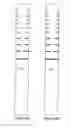 Fig. 04 - Catheter for Enhanced Image Location Detection