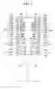 Fig. 06 - Three-dimensional medical imaging apparatus