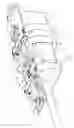 Fig. 05 - CATHETER CONTROL