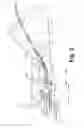 Fig. 04 - Slitter with mechanical holding finger