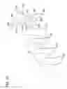 Fig. 16 - Packaged body adhering absorbent article and method of applying such article to a wearer
