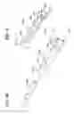 Fig. 40 - Packaged body adhering absorbent article and method of applying such article to a wearer