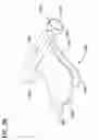 Fig. 49 - Packaged body adhering absorbent article and method of applying such article to a wearer
