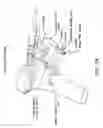 Fig. 48 - Method and apparatus for performing an open wedge, high tibial osteotomy
