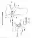Fig. 55 - Method and apparatus for performing an open wedge, high tibial osteotomy