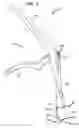 Fig. 07 - Tether tensioning instrument