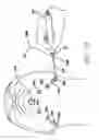 Fig. 08 - Surgical threading device and method for using same