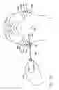 Fig. 30 - Surgical threading device and method for using same