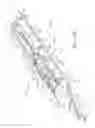 Fig. 59 - Systems and Methods for Treating Septal Defects