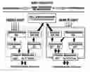 Fig. 01 - Phototherapeutic Method and Apparatus