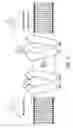 Fig. 04 - Optical depolarization of cardiac tissue