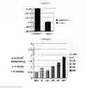 Fig. 08 - Method and apparatus of noninvasive, regional brain thermal stimuli for the treatment of neurological disorders