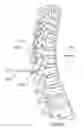 Fig. 09 - Methods for treating the thoracic region of a patient's body