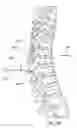 Fig. 10 - Methods for treating the thoracic region of a patient's body