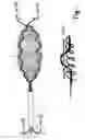 Fig. 09 - DEPLOYMENT DEVICE FOR CARDIAC SURGERY