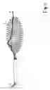 Fig. 11 - DEPLOYMENT DEVICE FOR CARDIAC SURGERY