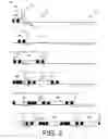Fig. 04 - Rail vehicle identification and processing