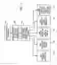 Fig. 13 - Method and system for controlling and auditing content/service systems