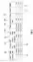 Fig. 06 - Decrypting load balancing array system