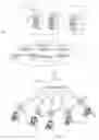 Fig. 02 - Avatar aggregation in a virtual universe