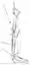 Fig. 01 - Upright vacuum cleaner