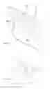 Fig. 07 - Upright vacuum cleaner