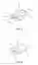 Fig. 02 - Buckle for horses