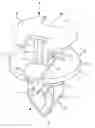Fig. 01 - Clip