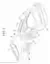 Fig. 06 - Buckle