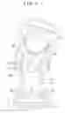 Fig. 07 - Buckle