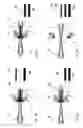 Fig. 05 - METHOD AND APPARATUS FOR PRODUCING STEPPED HOLLOW SHAFTS OR STEPPED CYLINDRICAL HOLLOW MEMBERS BY TRANSVERSE ROLLING