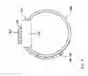 Fig. 07 - FASTENER FOR RELEASABLE BINDING OF PLURAL ITEMS OF VARIOUS SIZES AND NUMBER WITH ADJUSTABLE TENSION