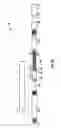 Fig. 04 - Rotation tool