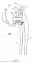 Fig. 08 - HAND OPERATED GRIPPING TOOL