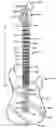 Fig. 01 - Fret and fingerboard for stringed instruments