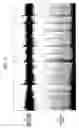 Fig. 04 - Beat extraction device and beat extraction method