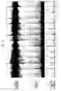 Fig. 06 - Beat extraction device and beat extraction method