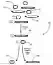 Fig. 01 - Particle separation