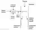 Fig. 01 - Control of mercury emissions from solid fuel combustion