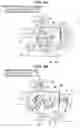 Fig. 05 - Husking-roll driving device in hull remover
