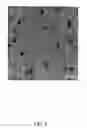 Fig. 09 - Process and apparatus for forming nanoparticles using radiofrequency plasmas