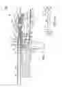 Fig. 08 - Projectile launching apparatus
