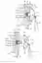 Fig. 03 - HAIR EXTENSION DEVICES AND METHODS