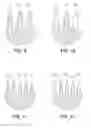 Fig. 09 - Head for a cosmetic applicator