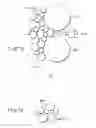 Fig. 49 - Cleaning apparatus, cleaning method, pattern formation apparatus, and pattern formation method