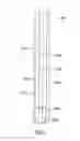 Fig. 25 - Downhole Tool