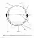 Fig. 03 - Pillbug