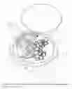 Fig. 08 - Pillbug