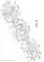 Fig. 05 - Roller clutch